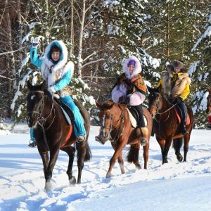 balade de chevaux en hivers d'un groupe de touristes